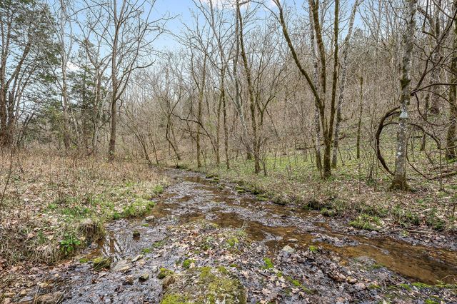 0 Lancaster Hwy, Hickman, TN 38567