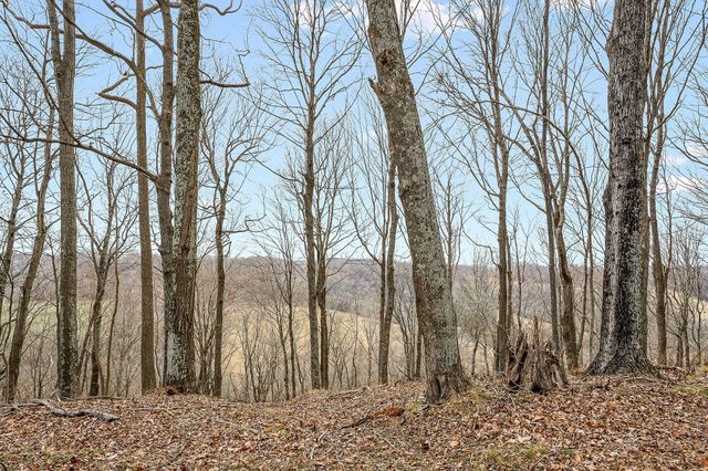 0 Lancaster Hwy, Hickman, TN 38567