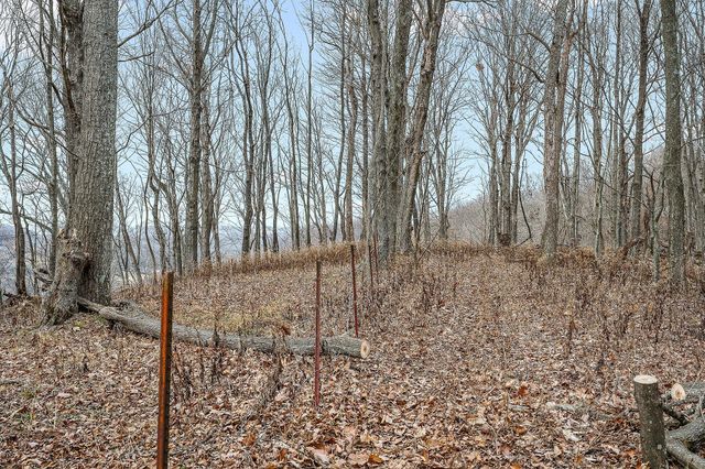 0 Lancaster Hwy, Hickman, TN 38567