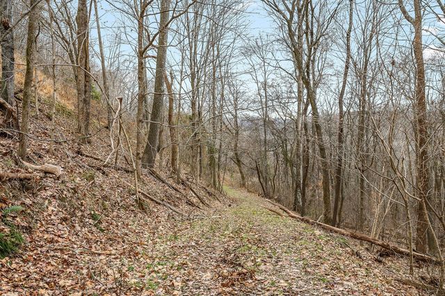 0 Lancaster Hwy, Hickman, TN 38567