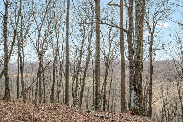 0 Lancaster Hwy, Hickman, TN 38567