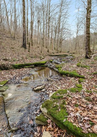 0 Lancaster Hwy, Hickman, TN 38567