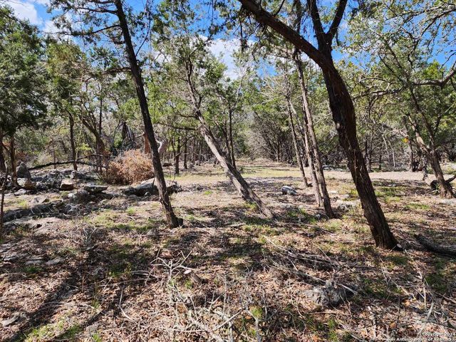 LOT 18 Forest Lake Dr, Spring Branch, TX 78070