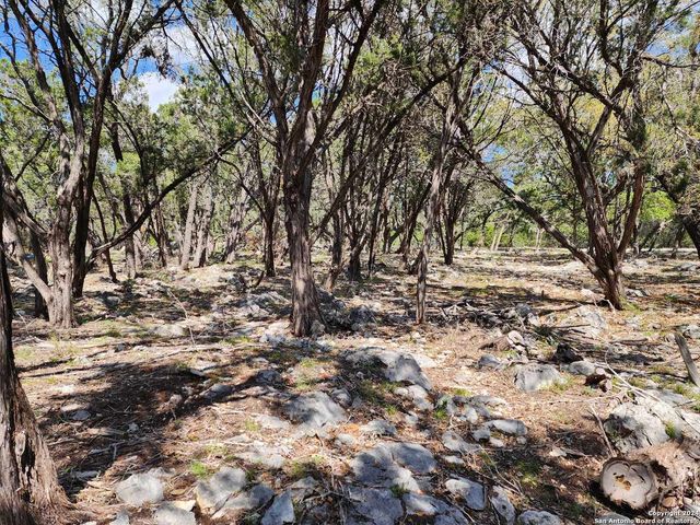 LOT 18 Forest Lake Dr, Spring Branch, TX 78070