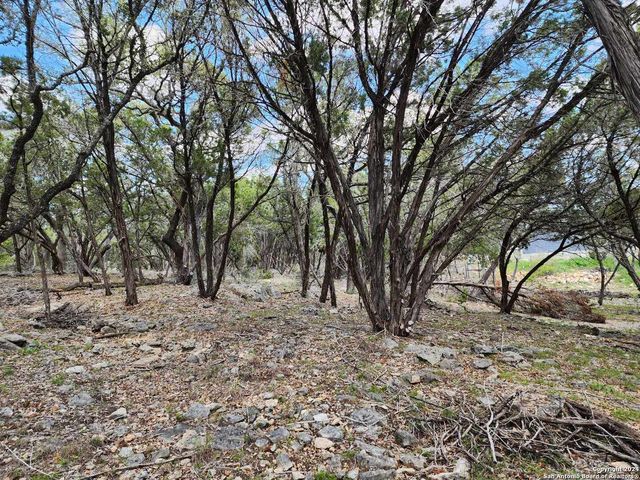 LOT 18 Forest Lake Dr, Spring Branch, TX 78070