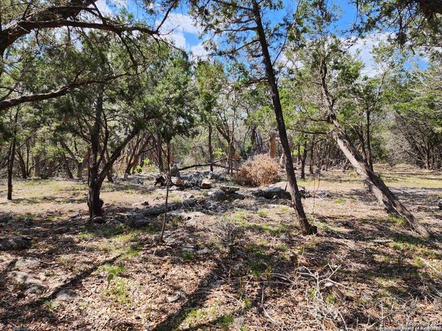 LOT 18 Forest Lake Dr, Spring Branch, TX 78070