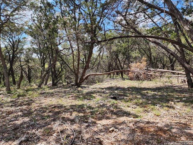 LOT 18 Forest Lake Dr, Spring Branch, TX 78070