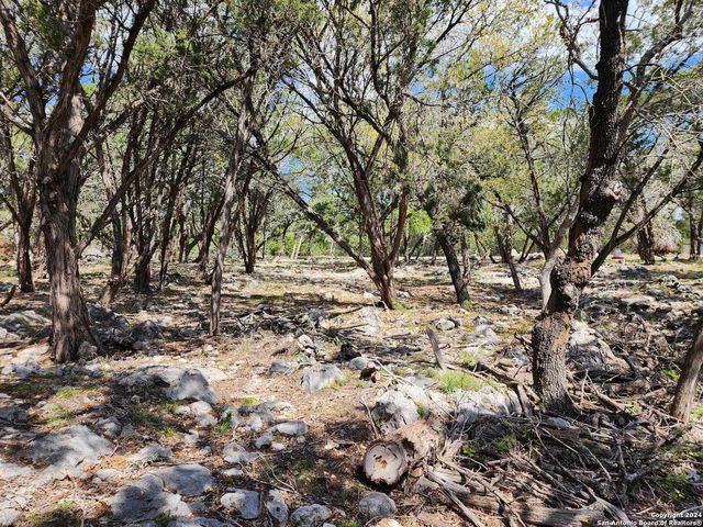 LOT 18 Forest Lake Dr, Spring Branch, TX 78070