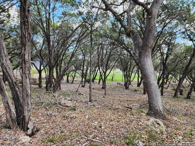 LOT 18 Forest Lake Dr, Spring Branch, TX 78070