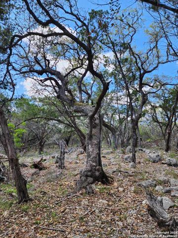 LOT 18 Forest Lake Dr, Spring Branch, TX 78070