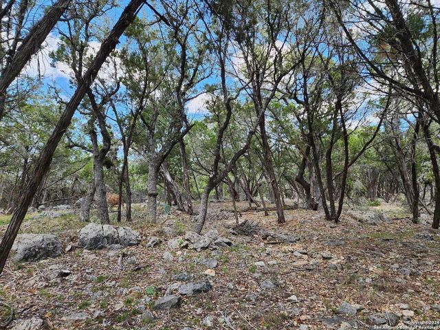 LOT 18 Forest Lake Dr, Spring Branch, TX 78070