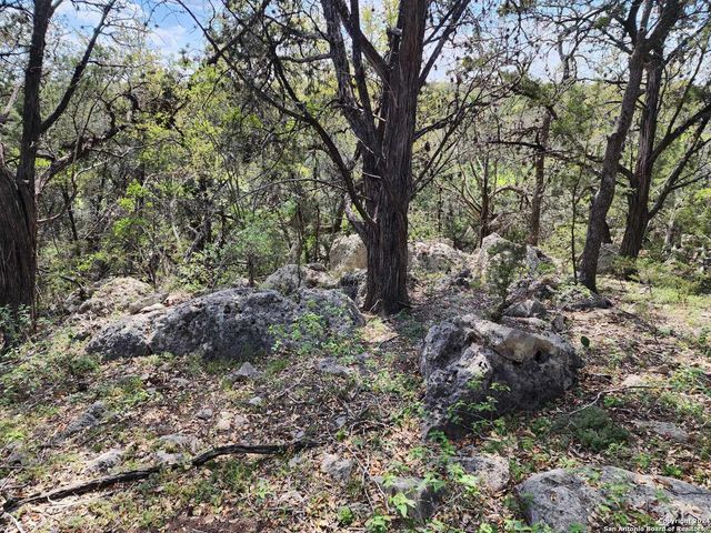 LOT 18 Forest Lake Dr, Spring Branch, TX 78070