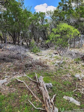 LOT 18 Forest Lake Dr, Spring Branch, TX 78070