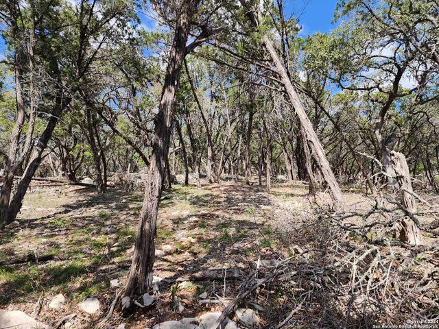 LOT 18 Forest Lake Dr, Spring Branch, TX 78070