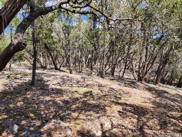 LOT 18 Forest Lake Dr, Spring Branch, TX 78070