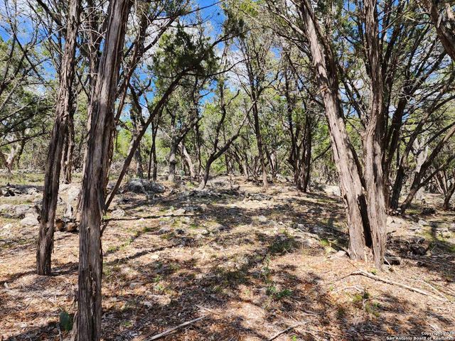 LOT 18 Forest Lake Dr, Spring Branch, TX 78070