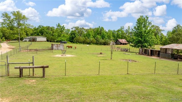 15293 Watermelon, Tuscaloosa, AL 35406