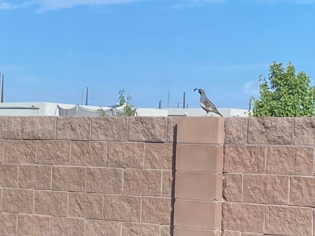 3125 Ilford Road NE, Rio Rancho, NM 87144