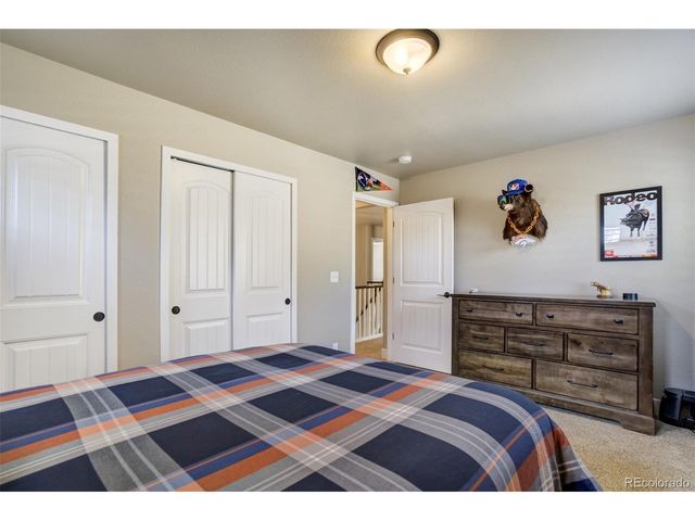 1716 Catnap Ln, Monument, CO 80132