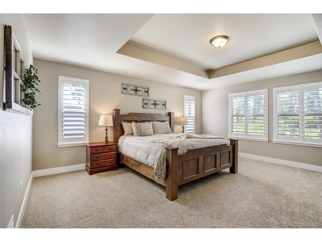 1716 Catnap Ln, Monument, CO 80132
