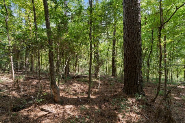 153 Sweetgum Lane, Livingston, TX 77351