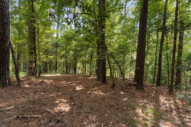 153 Sweetgum Lane, Livingston, TX 77351