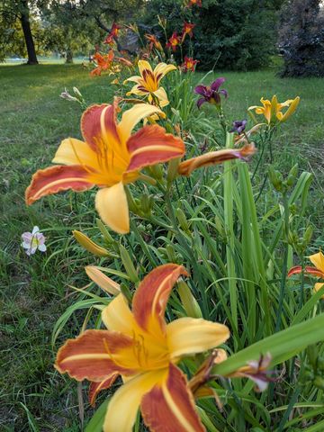 10562 Summit City Road, Paradise Twp, MI 49649