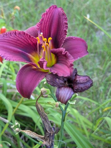 10562 Summit City Road, Paradise Twp, MI 49649