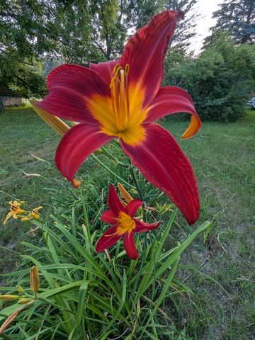 10562 Summit City Road, Paradise Twp, MI 49649