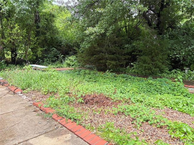 1542 Starlight Drive, St Louis, MO 63135