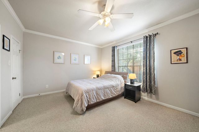 2255 Braeswood Park Drive 176, Houston, TX 77030