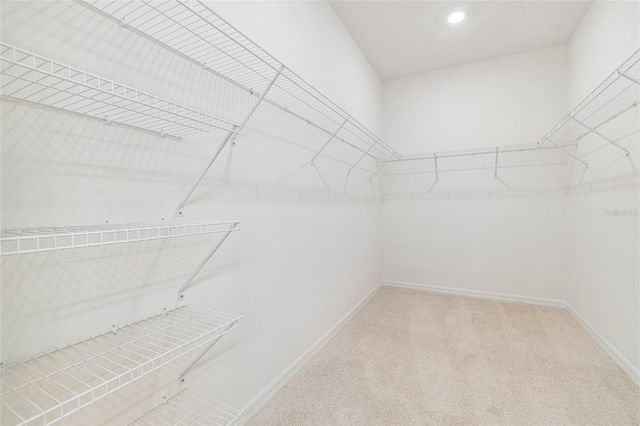 6406 JENSEN VIEW AVENUE, Apollo Beach, FL 33572
