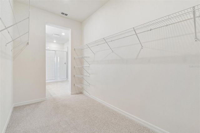 6406 JENSEN VIEW AVENUE, Apollo Beach, FL 33572
