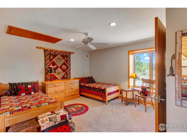 125 Saddleback Ln, Estes Park, CO 80517