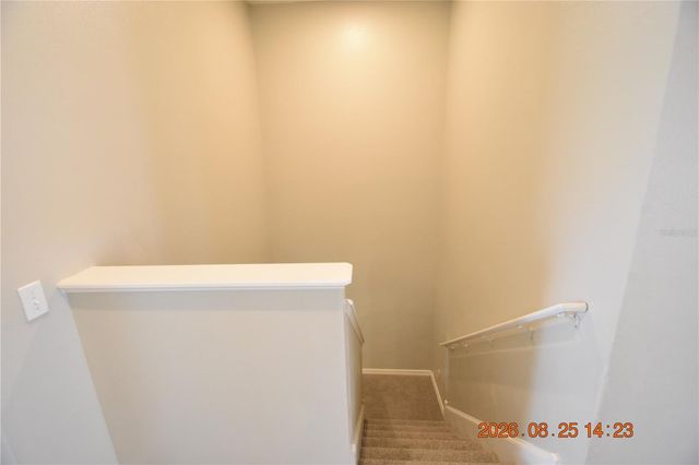 556 BLACK LION DRIVE NE 556, St Petersburg, FL 33716