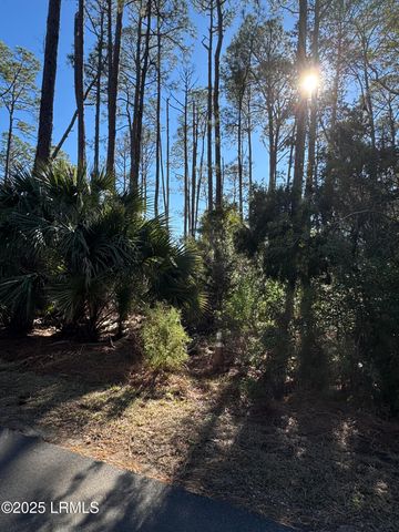 34 Lakeview Lane, Harbor Island, SC 29920