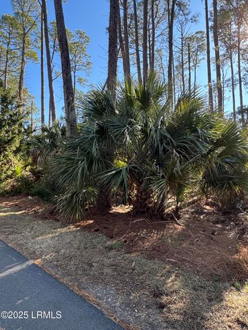 34 Lakeview Lane, Harbor Island, SC 29920