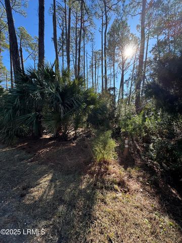 34 Lakeview Lane, Harbor Island, SC 29920