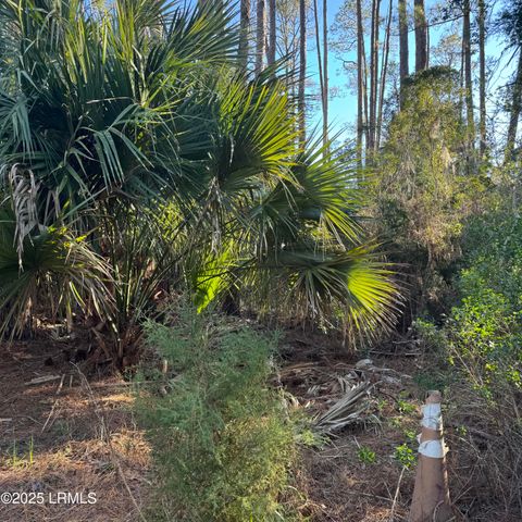 34 Lakeview Lane, Harbor Island, SC 29920