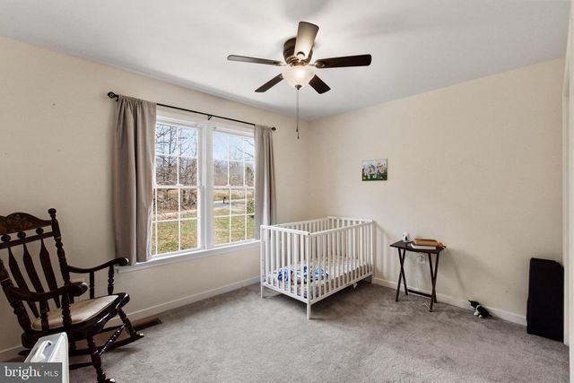 10132 WALLERS RD, Partlow, VA 22534