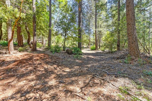 6960 Blackhawk Ln, Foresthill, CA 95631