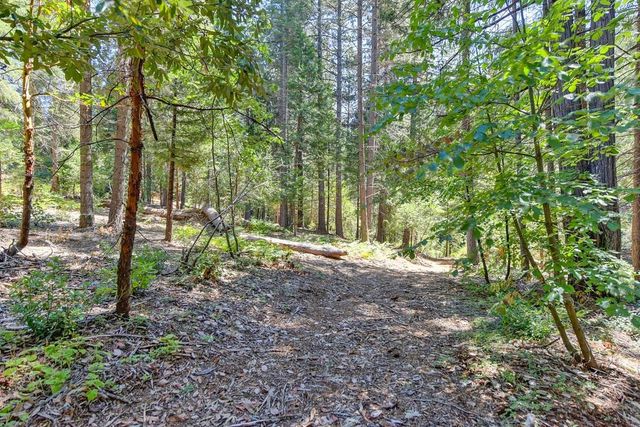 6960 Blackhawk Ln, Foresthill, CA 95631