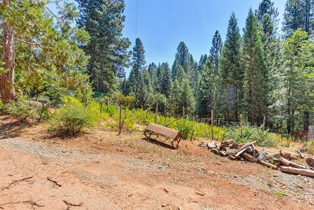 6960 Blackhawk Ln, Foresthill, CA 95631