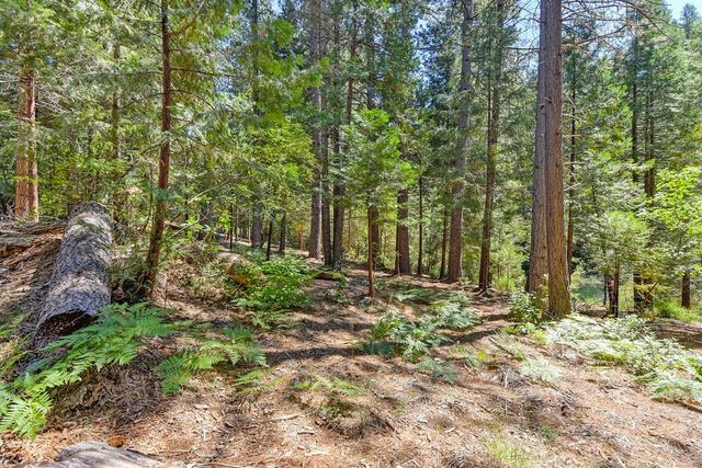 6960 Blackhawk Ln, Foresthill, CA 95631