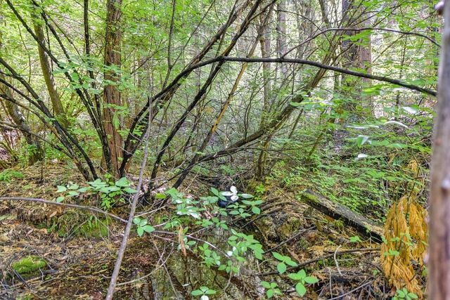 6960 Blackhawk Ln, Foresthill, CA 95631