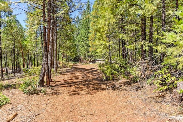 6960 Blackhawk Ln, Foresthill, CA 95631