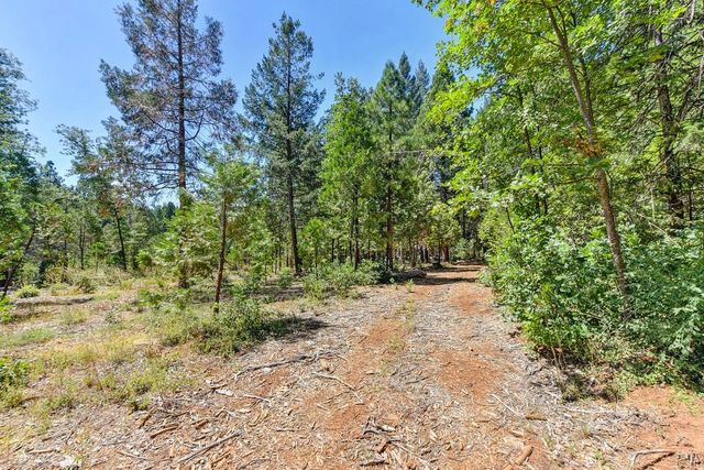 6960 Blackhawk Ln, Foresthill, CA 95631