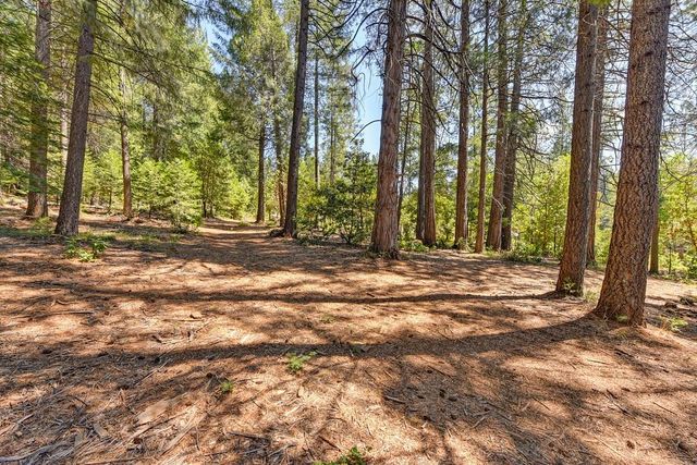 6960 Blackhawk Ln, Foresthill, CA 95631