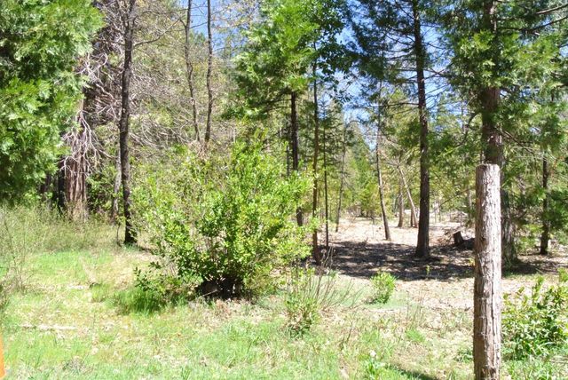 6960 Blackhawk Ln, Foresthill, CA 95631