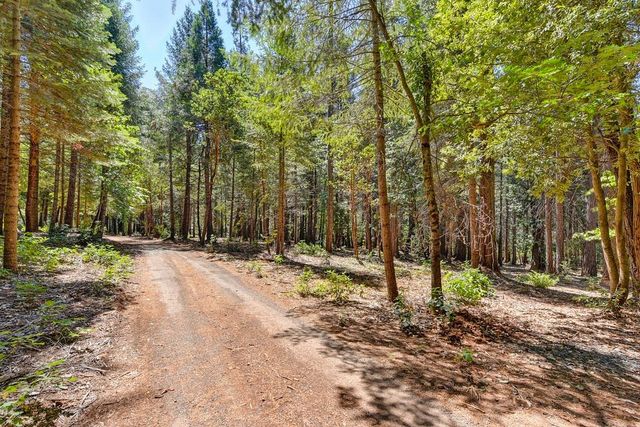 6960 Blackhawk Ln, Foresthill, CA 95631